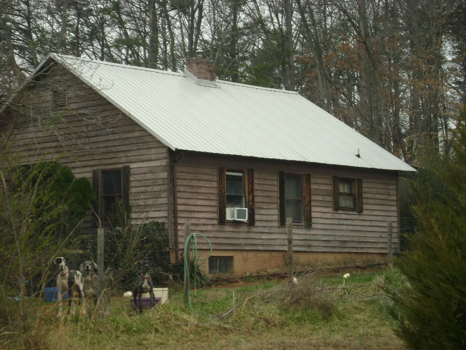 White metal roof on an old wood sided farmhouse, from a Asphalt Shingle Roof Repair job in Bend